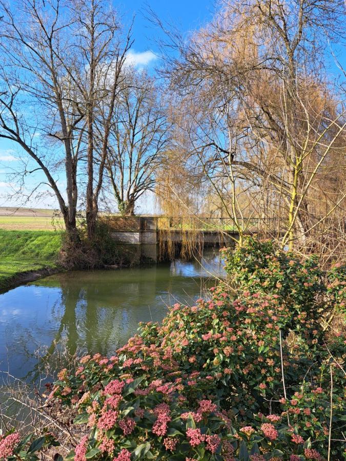 Le Moulin Etourneau - 3 Gites Avec 2 Piscines Champagnac  Exterior foto